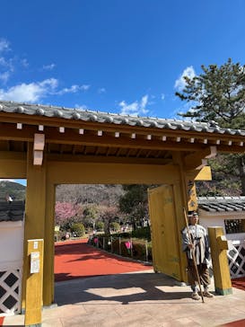 土肥金山に投稿された画像（2025/2/12）