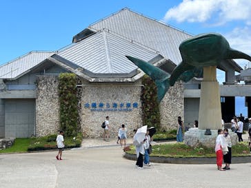 沖縄美ら海水族館に投稿された画像（2025/2/12）