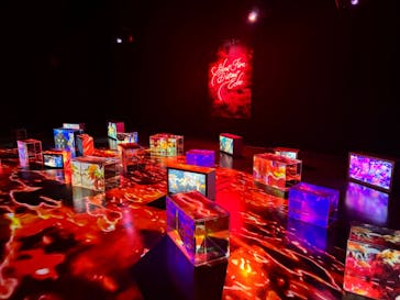 蜷川実花展 with EiM：彼岸の光、此岸の影 NINAGAWA Mika with EiM：Lights of the beyond, Shadows of this worldに投稿された画像（2025/2/12）