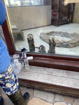 横浜・八景島シーパラダイスに投稿された画像（2025/2/12）