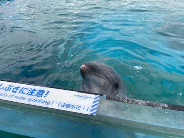 横浜・八景島シーパラダイスに投稿された画像（2025/2/12）