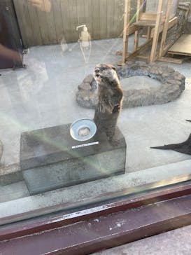 横浜・八景島シーパラダイスに投稿された画像（2025/2/12）