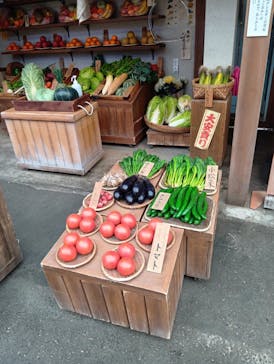 西武園ゆうえんちに投稿された画像（2025/2/12）