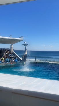 鴨川シーワールドに投稿された画像（2025/2/12）