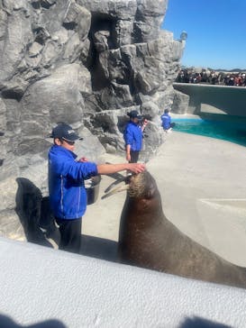 鴨川シーワールドに投稿された画像（2025/2/12）