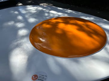 彫刻の森美術館に投稿された画像（2025/2/12）