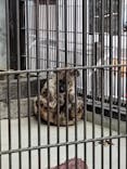 宇都宮動物園に投稿された画像（2025/2/12）