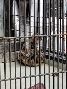 宇都宮動物園に投稿された画像（2025/2/12）