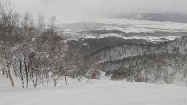 富良野スキー場に投稿された画像（2025/2/12）