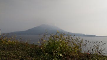 仙巌園に投稿された画像（2025/2/12）