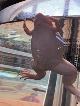 あわしまマリンパークに投稿された画像（2025/2/12）