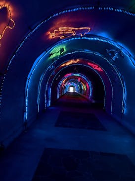 あわしまマリンパークに投稿された画像（2025/2/12）