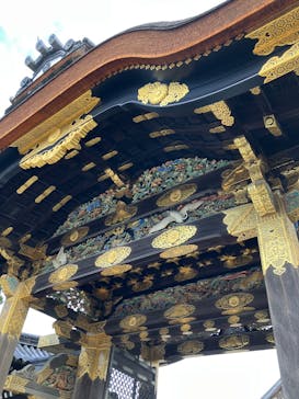 元離宮二条城に投稿された画像（2025/2/12）