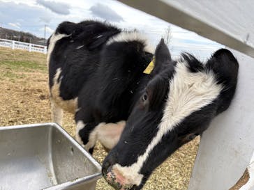 マザー牧場に投稿された画像（2025/2/12）