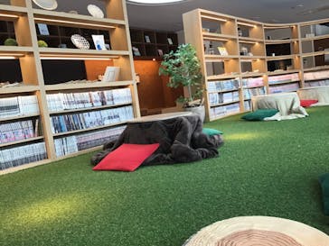 芦別温泉おふろcafé星遊館に投稿された画像（2025/2/12）