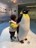 名古屋港水族館に投稿された画像（2025/2/12）