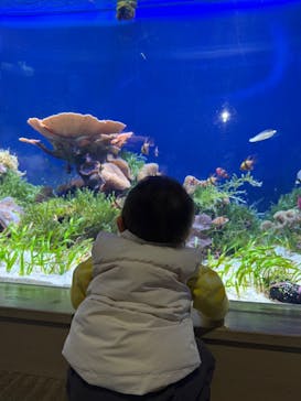 名古屋港水族館に投稿された画像（2025/2/12）