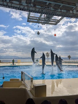 マリンワールド海の中道に投稿された画像（2025/2/12）