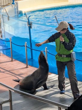 マリンワールド海の中道に投稿された画像（2025/2/12）