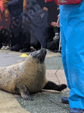 マリンワールド海の中道に投稿された画像（2025/2/12）