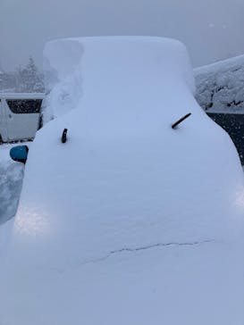 水上高原 藤原スキー場に投稿された画像（2025/2/12）