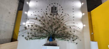 特別展「鳥 ～ゲノム解析が解き明かす新しい鳥類の系統～」国立科学博物館に投稿された画像（2025/2/12）