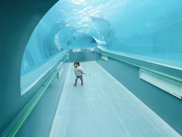 太地町立くじらの博物館に投稿された画像（2025/2/12）