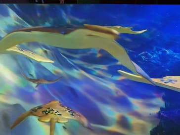 動き出す浮世絵展 TOKYOに投稿された画像（2025/2/12）