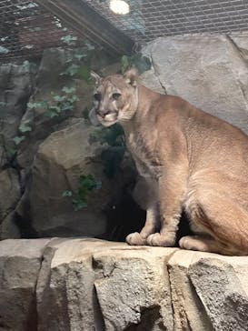 神戸どうぶつ王国に投稿された画像（2025/2/12）