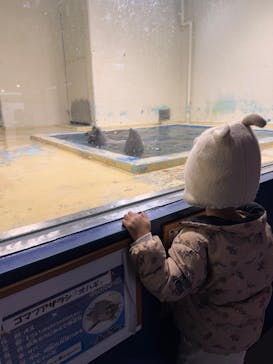 伊豆・三津シーパラダイスに投稿された画像（2025/2/12）