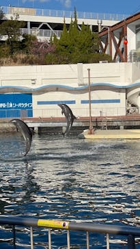 伊豆・三津シーパラダイスに投稿された画像（2025/2/12）