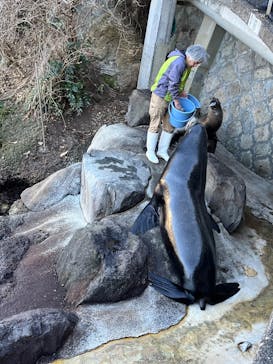 伊豆・三津シーパラダイスに投稿された画像（2025/2/12）