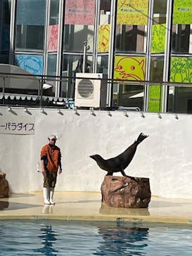 伊豆・三津シーパラダイスに投稿された画像（2025/2/12）