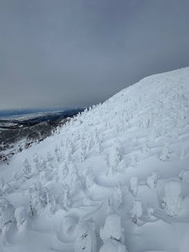 蔵王ロープウェイに投稿された画像（2025/2/12）