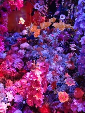 蜷川実花展 with EiM：彼岸の光、此岸の影 NINAGAWA Mika with EiM：Lights of the beyond, Shadows of this worldに投稿された画像（2025/2/12）