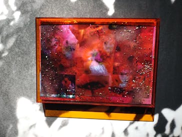 蜷川実花展 with EiM：彼岸の光、此岸の影 NINAGAWA Mika with EiM：Lights of the beyond, Shadows of this worldに投稿された画像（2025/2/12）