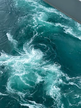 徳島県立 渦の道に投稿された画像（2025/2/12）