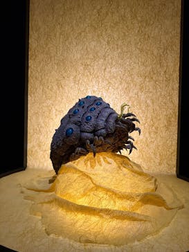 金曜ロードショーとジブリ展　三重展に投稿された画像（2025/2/12）