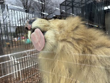 宇都宮動物園に投稿された画像（2025/2/12）