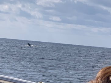 ON SHORE（オンショア）に投稿された画像（2025/2/12）