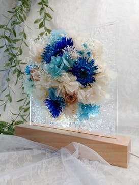 ずこうしつ〜sugamo〜に投稿された画像（2025/2/12）