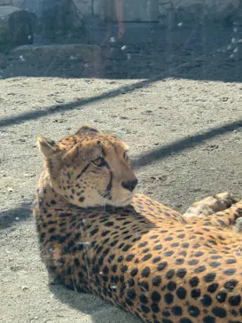 多摩動物公園に投稿された画像（2025/2/12）