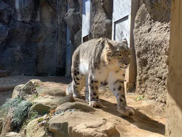 多摩動物公園に投稿された画像（2025/2/12）