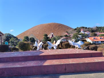 伊豆シャボテン動物公園に投稿された画像（2025/2/12）
