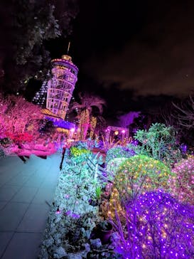 江の島シーキャンドルに投稿された画像（2025/2/12）