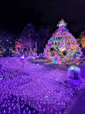 江の島シーキャンドルに投稿された画像（2025/2/12）