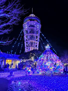 江の島シーキャンドルに投稿された画像（2025/2/12）