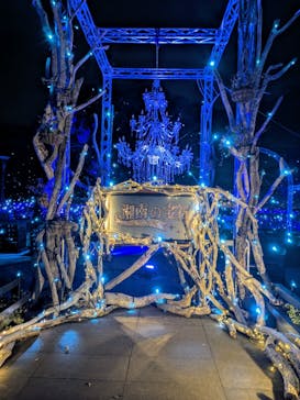 江の島シーキャンドルに投稿された画像（2025/2/12）