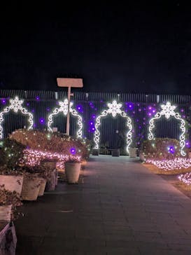 江の島シーキャンドルに投稿された画像（2025/2/12）