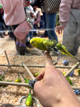 いきもの探検隊上尾に投稿された画像（2025/2/12）